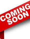 Coming soon placeholder for Alternate Treasurer